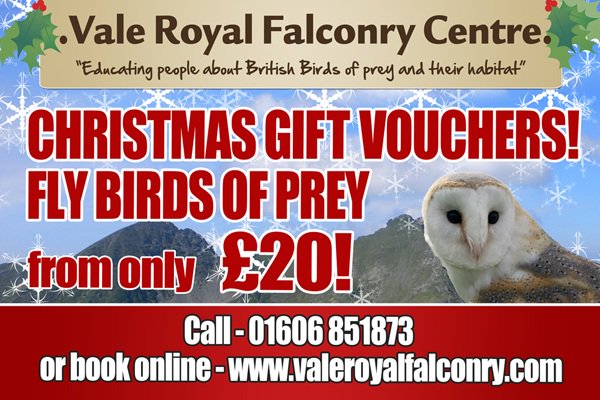 Vale Royal Falconry have some great gift ideas and special offers for falconry and meerkat experiences, including our popular Hawk &amp; Owl Birds of Prey Experience for 2 people, which would make a lovely Christmas gift for anyone.#christmasgifts #falconry valeroyalfalconry.com/special-offers…