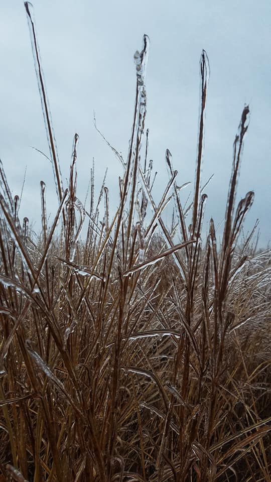 MetroParksTweet's tweet photo. Yesterday's winter storm might've caused some headaches, but Five Rivers MetroParks Trail Specialist Mark Allen found that Germantown MetroPark looks pretty nice on ice. #exploremetroparks #winter https://t.co/7pEmlXXdTs