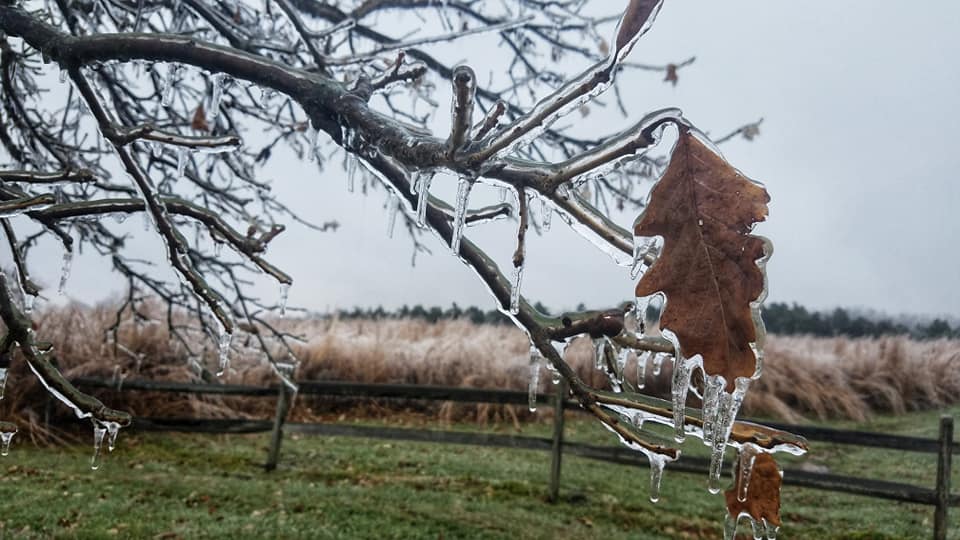 MetroParksTweet's tweet photo. Yesterday's winter storm might've caused some headaches, but Five Rivers MetroParks Trail Specialist Mark Allen found that Germantown MetroPark looks pretty nice on ice. #exploremetroparks #winter https://t.co/7pEmlXXdTs