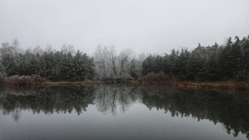 MetroParksTweet's tweet photo. Yesterday's winter storm might've caused some headaches, but Five Rivers MetroParks Trail Specialist Mark Allen found that Germantown MetroPark looks pretty nice on ice. #exploremetroparks #winter https://t.co/7pEmlXXdTs