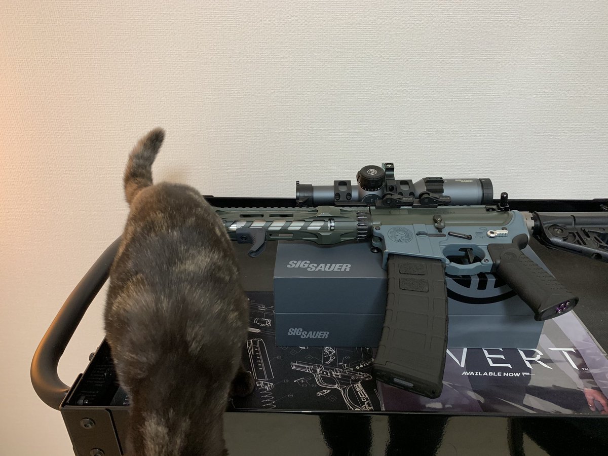 niniikusaro's tweet photo. 工房もバージョンアップ
僕スコープもバージョンアップ

#RSphantom 
#RS 
#PTW 
#流速 
#SIG 
#tango6 
#sigsauer 
#RSニャンコ 
#猫 https://t.co/YXU21hUIM1