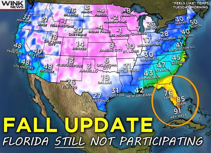 RockerWrites's tweet image. Yeah... we don't really do "seasons."