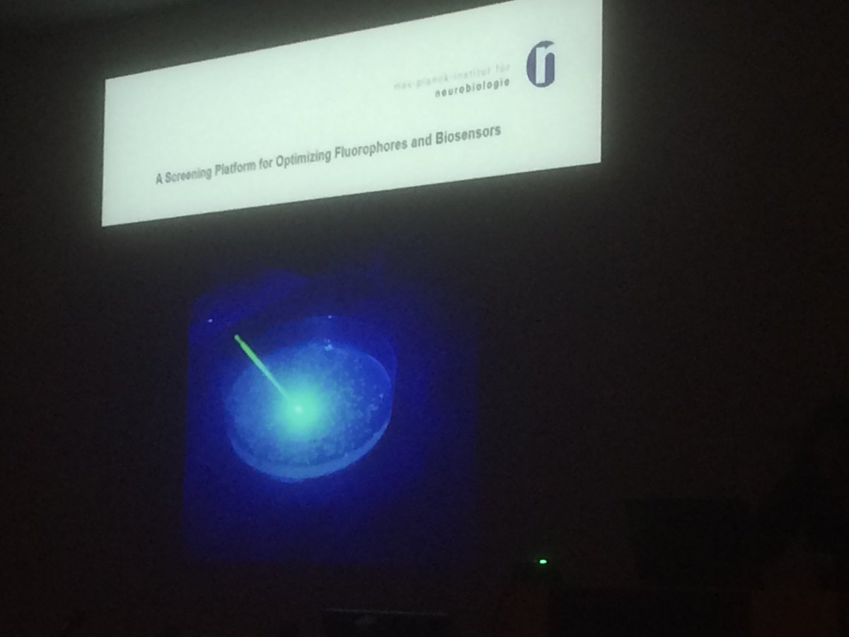 joachimgoedhart's tweet photo. #IMOB18 Oliver Griesbeck on a new screening platform for fluorescent proteins https://t.co/XpN9owxQSQ