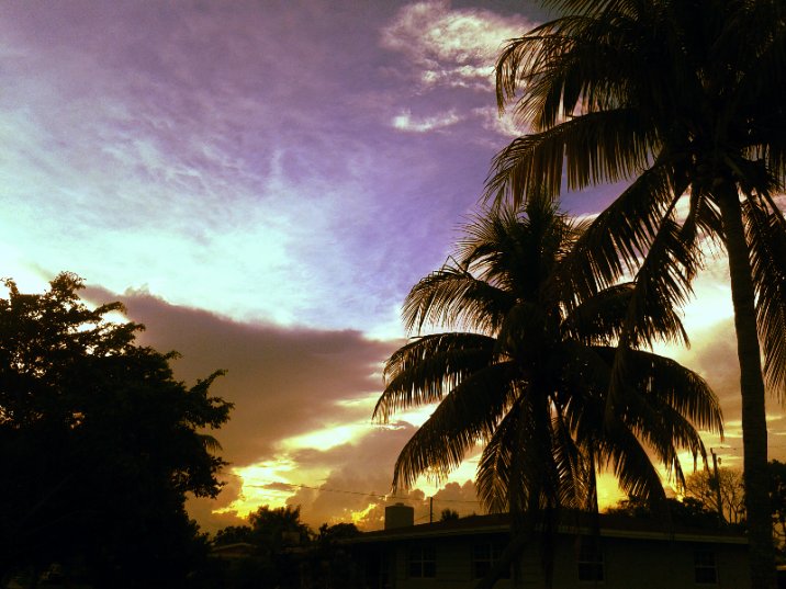 JorgeGNYCMIA's tweet photo. #Miami #Sky #Sunset #Clouds #Palmtrees #trees #photodaily #phototoday #photoftheday #photograph #photographer #photography #photooftheweek #photosession #photoshot #photostudio #skyphotography #sunrays #sunflares #lensflare #SunsetOneEvening https://t.co/qZo7Zmv7Ve