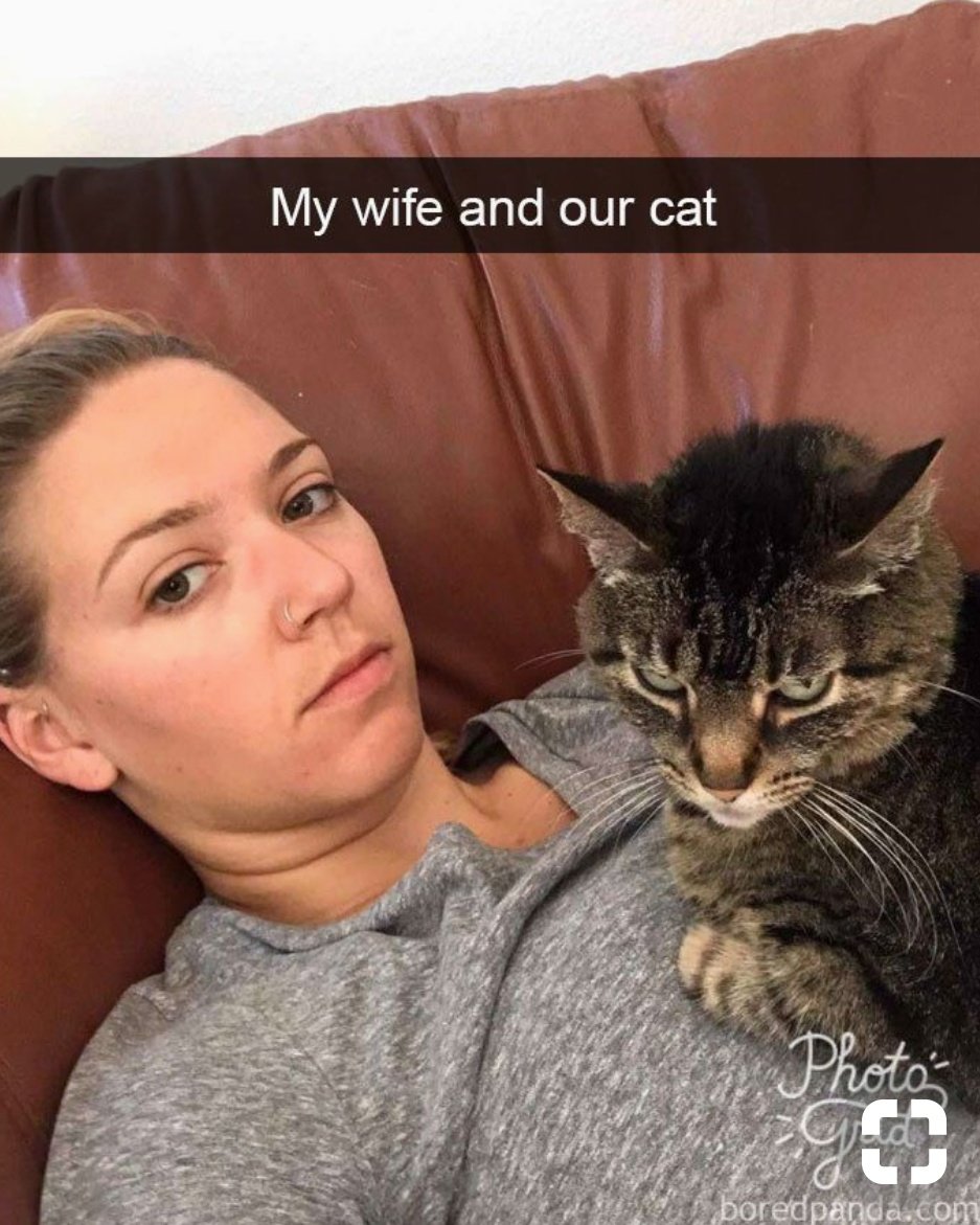 fofurentos's tweet photo. Eu e o nosso cachorro / minha esposa e o nosso gato https://t.co/A2oYgXwxA1