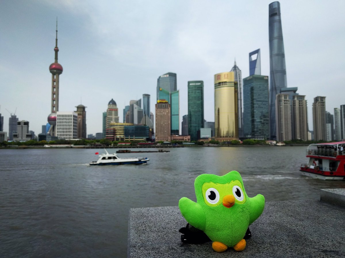 Duolingo Plushie / The Duolingo Owl Is Always Watching Teenagers - Melba Miscacer