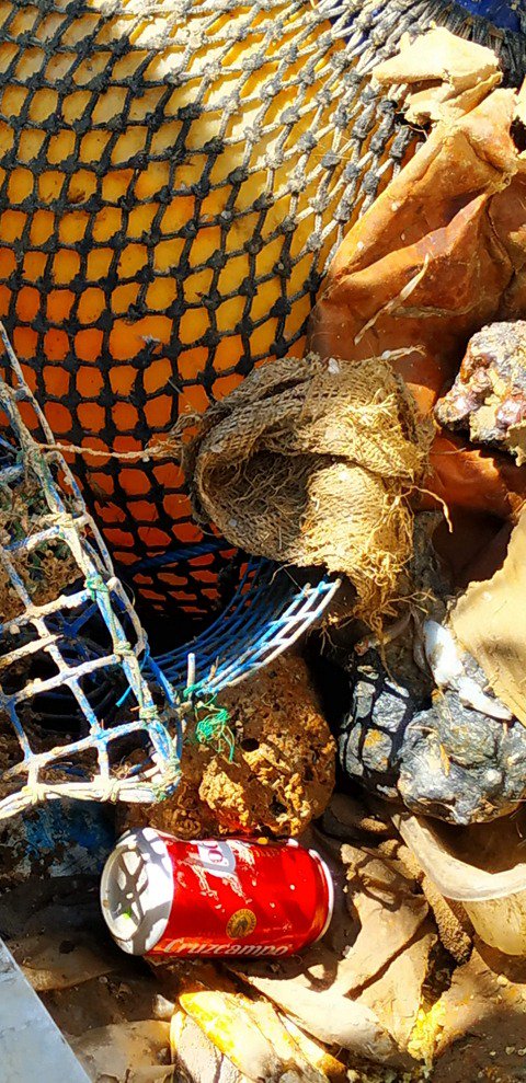 CEPESCA_basumar's tweet photo. #FishRecycle El sector pesquero hace frente la #basuramarina con la formación de un centenar de profesionales https://t.co/GlayjhT2iF vía @elempresariocom #marinelitter https://t.co/mhEhwO2Xm5