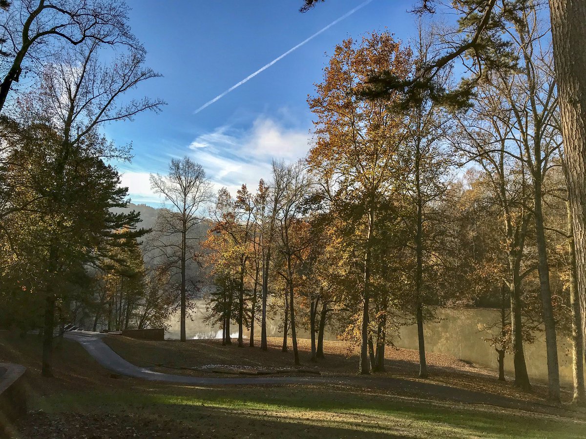 Joshua Bledsoe tweet media