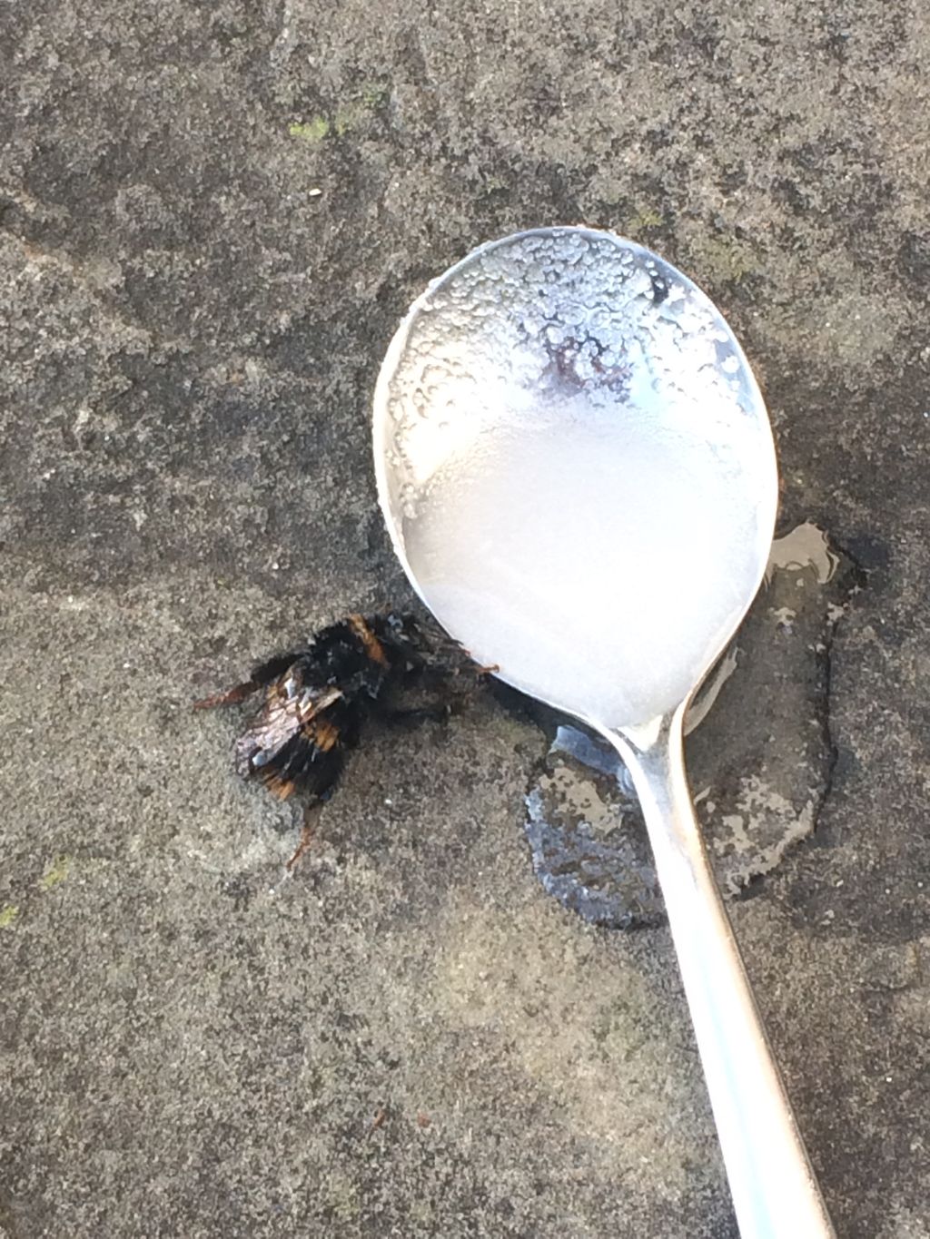 Galbraith Perth on Twitter 