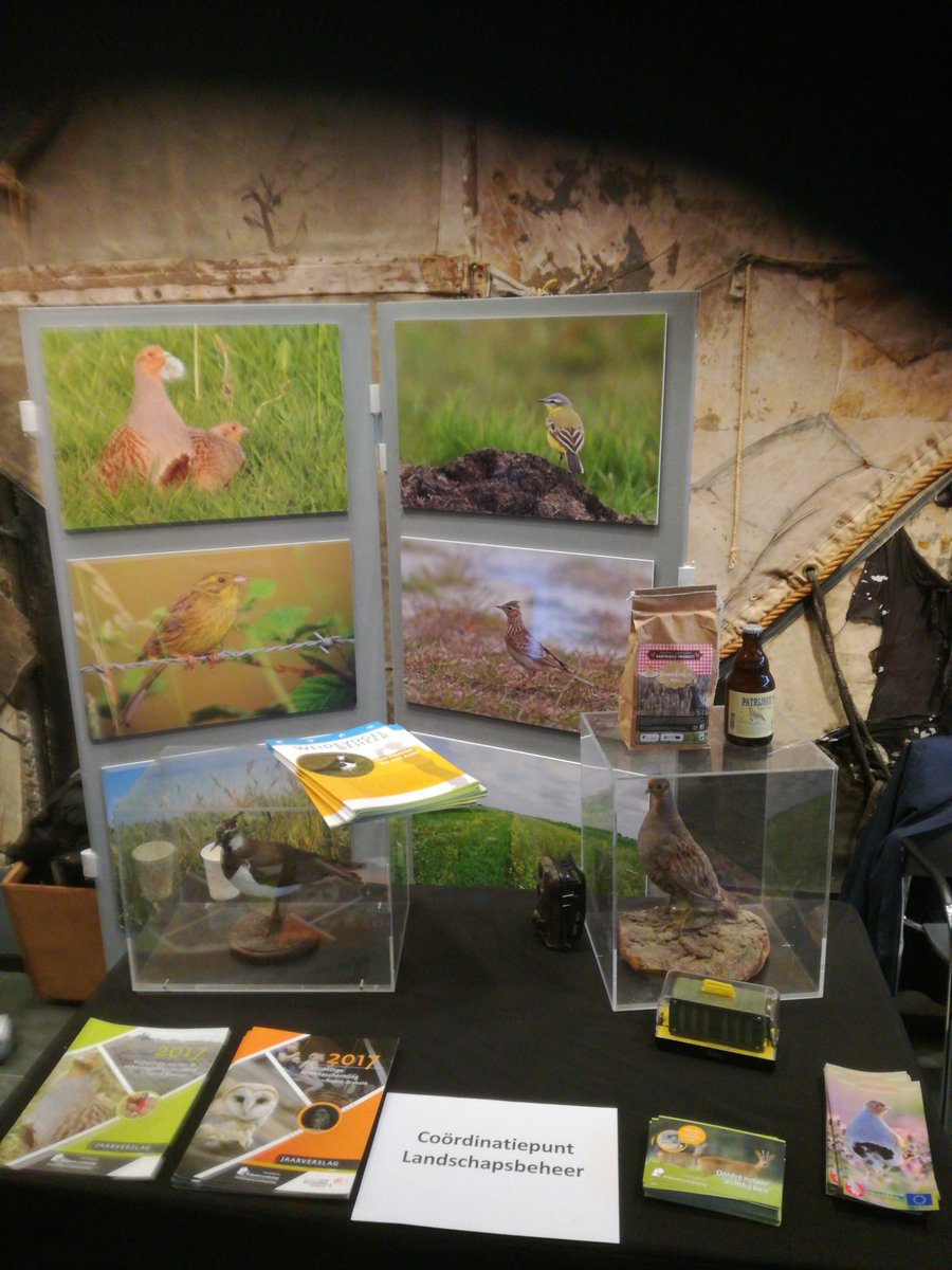 Zoogdierverenig's tweet photo. Project PARTRIDGE levert meer patrijzen, geweldig #BioBra2018 https://t.co/DdEJ4DJdKt