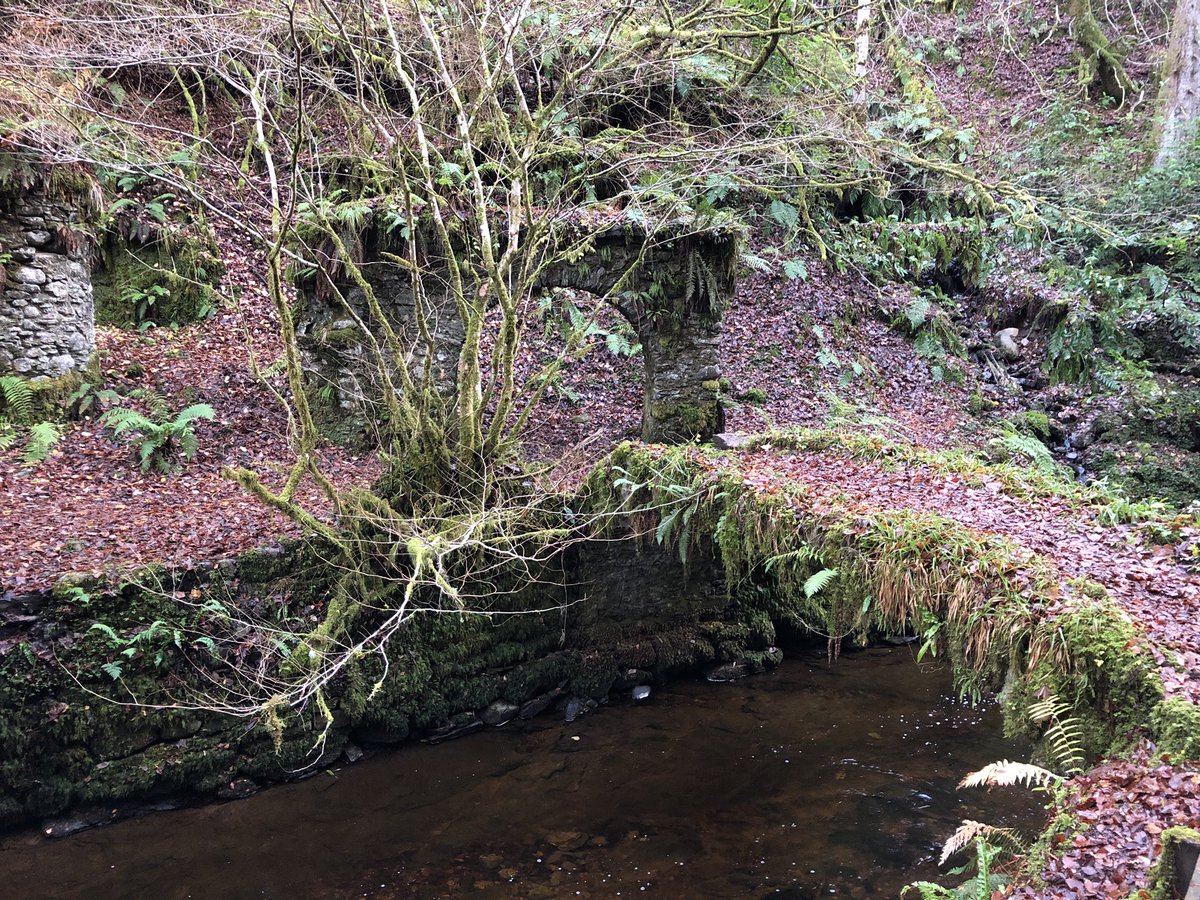 Chris_Taylor76's tweet photo. Lovely walk around #ReeligGlen @VisitScotland #RubyBloom is now tired #Scotland https://t.co/tEbrBBS447