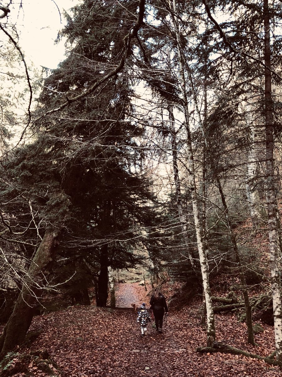 Chris_Taylor76's tweet photo. Lovely walk around #ReeligGlen @VisitScotland #RubyBloom is now tired #Scotland https://t.co/tEbrBBS447