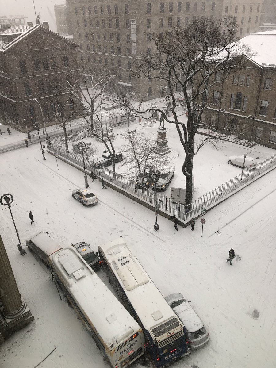 AshleyMartell4's tweet image. Drama @ Barrington &amp;amp; George. #5carbuspileup #exploreNS #visitNS