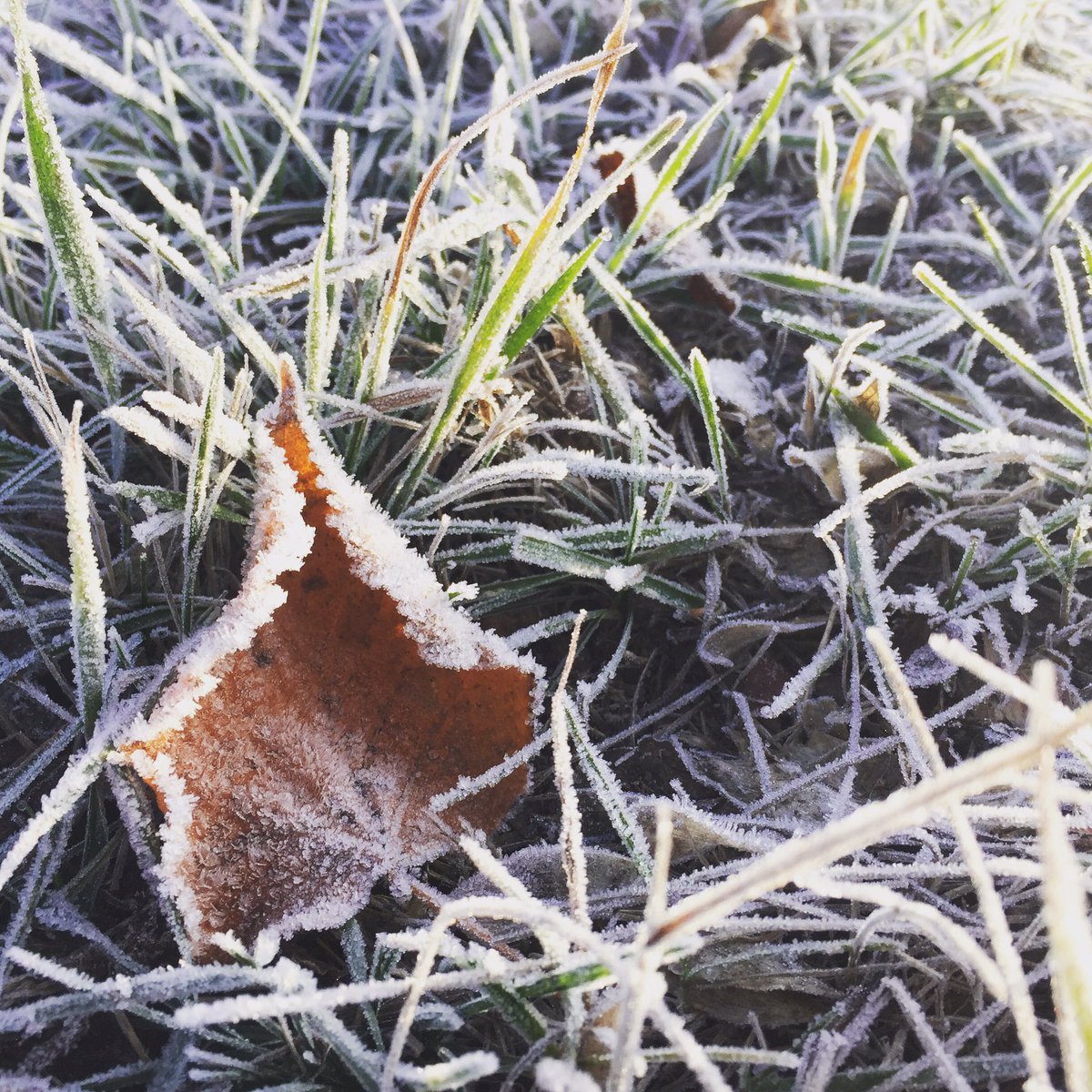 wdowy's tweet photo. Morning @GoGeocaching in #Kladno today. https://t.co/KNdTuAoSuH