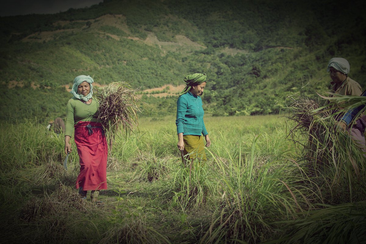 C4DPartners's tweet photo. We published 3 new stories on our portfolio companies and the positive social economic #impact they create with their businesses in #India and #Indonesia. You can read the stories, including the stories of our other portfolio companies on our website https://t.co/hH0tSoRlzX https://t.co/YKw6qcWatg