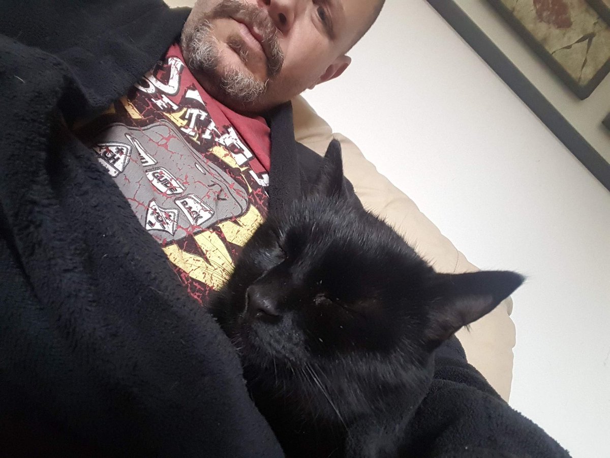 LesterMcNumplet's tweet photo. I have commandeered the inside of hooman's dressing gown.
#CatsOfTwitter https://t.co/0hAtqwMzyH