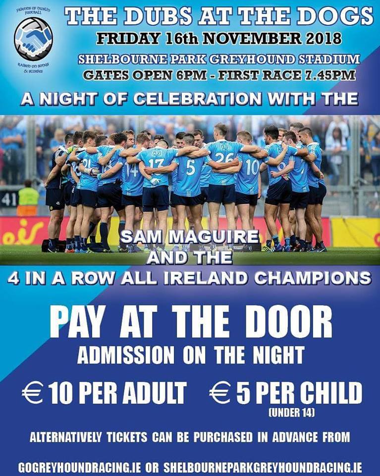 shelbourne dog racing tonight