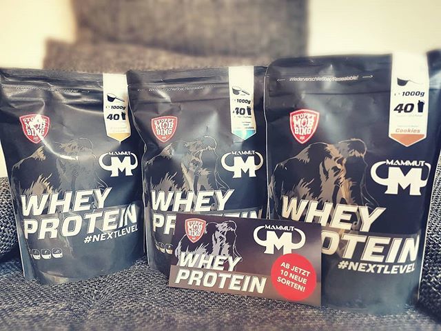 SebBlatt's tweet photo. (Werbung da Markennennung) Neue Geschmacksrichtungen von @mammut_nutrition 😍😍😍 Neben den hier aufgereihten "Caramel Cream" "Coconut White Chocolate" "Cookies" sind ab sofort auch "Vanilla Ice Cream" "Salted Peanut" "Red Banana" "Mango Passion Fruit" … https://t.co/kP2TgDAtBZ https://t.co/3rRXh0CTqR