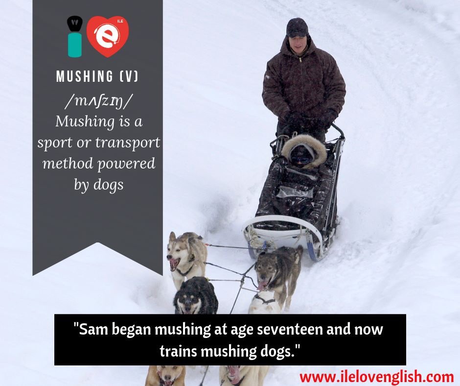 ILElovenglish's tweet image. Word of the day! #ilelovenglish #skypelessons #onlinecourse #vocabulary #grammar