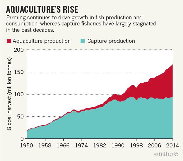 "If there is a food source that can both help reverse climate change and feed the world’s hungry, it is aquaculture."
Aquaculture is the biggest change to US food production in decades via @EdenworksGrows 
ow.ly/e4JD30mDW0i