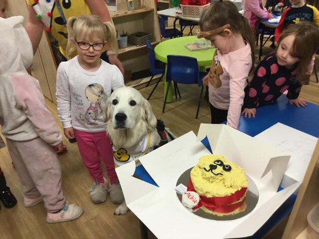 rlhughesAIM's tweet photo. Albie’s favourite cake😂🐶#ChildrenInNeed2018 https://t.co/qiO29GtwOU