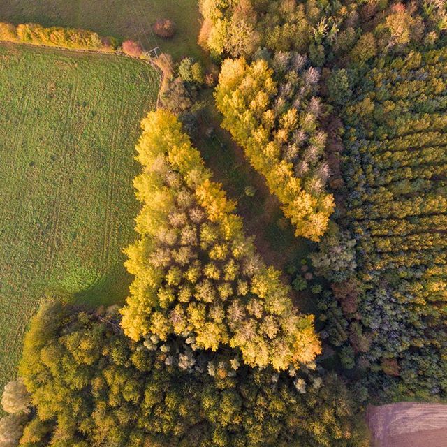 EngelkingJB's tweet photo. Tree geometry episode 3
#topdown #fromwhereidrone #nord #tree #ilovetofly #dji #djiphantom3 #djiglbal #drone #drones #dronestagram #droneofficial #droneart #abstractaerial #abstractaerialart #autumn #aerialphoto #aerialphotography #aerial #dailyoverview … https://t.co/t18n70Gvb4 https://t.co/6M2SSWY6Xk