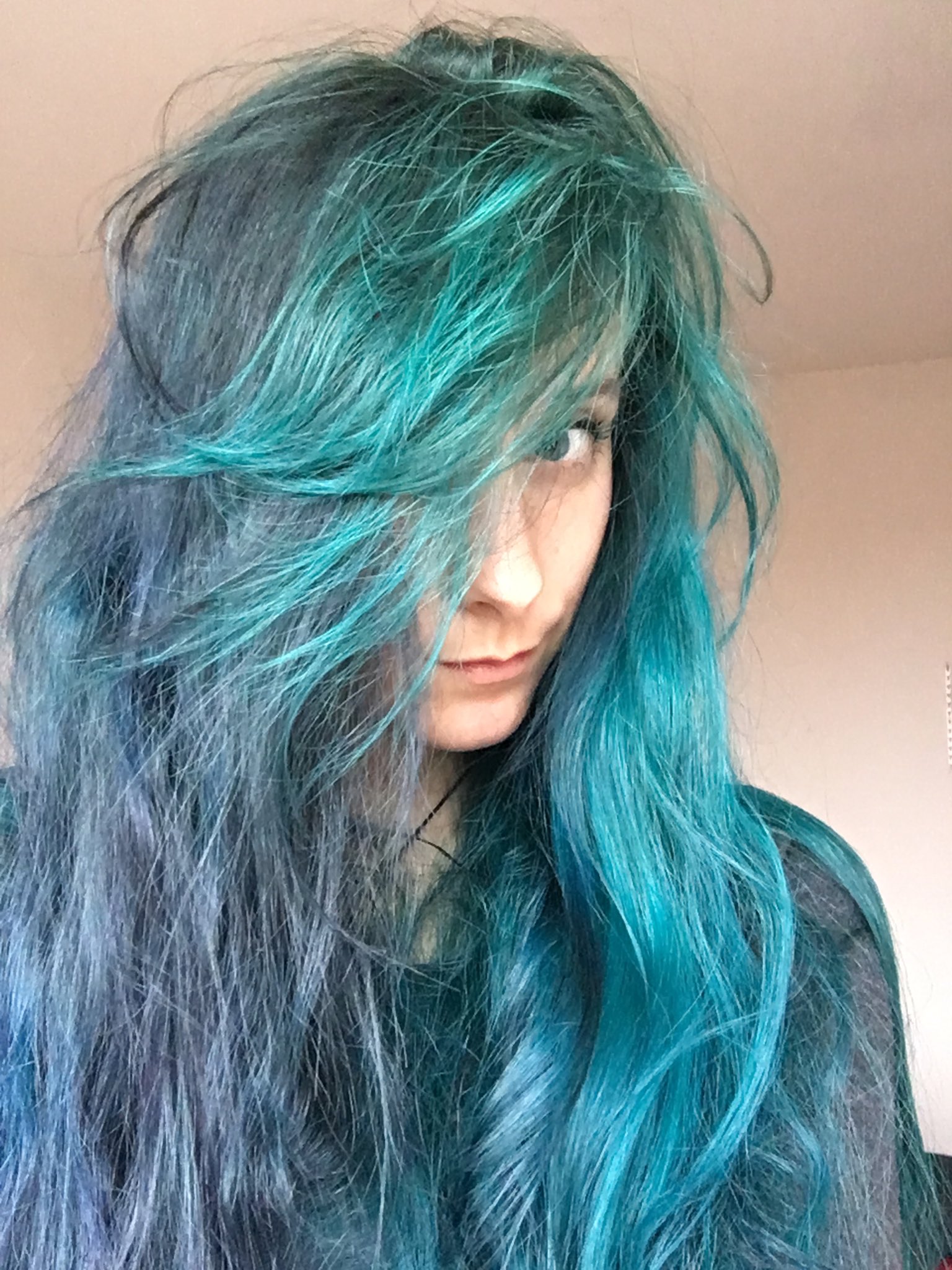 Half blue 2024 half black hair