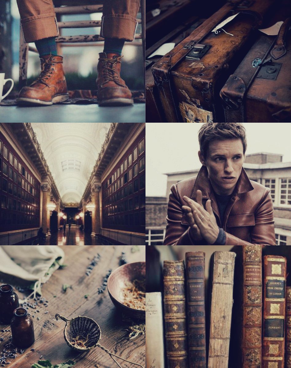 kattyclarkwilk's tweet image. #scamandercest aesthetic 
#FantasticBeasts