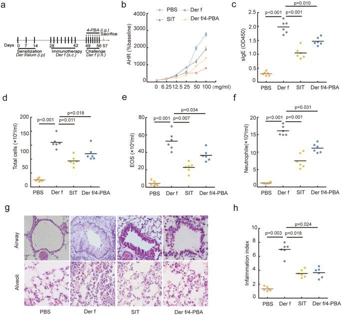 tek_mode's tweet photo. Allergy immunotherapy restores airway epithelial barrier dysfunction through suppressing IL-25 -induced endoplasmic reticulum stress in asthma https://t.co/qEVwcqh4Uk https://t.co/OlnYOKhq40