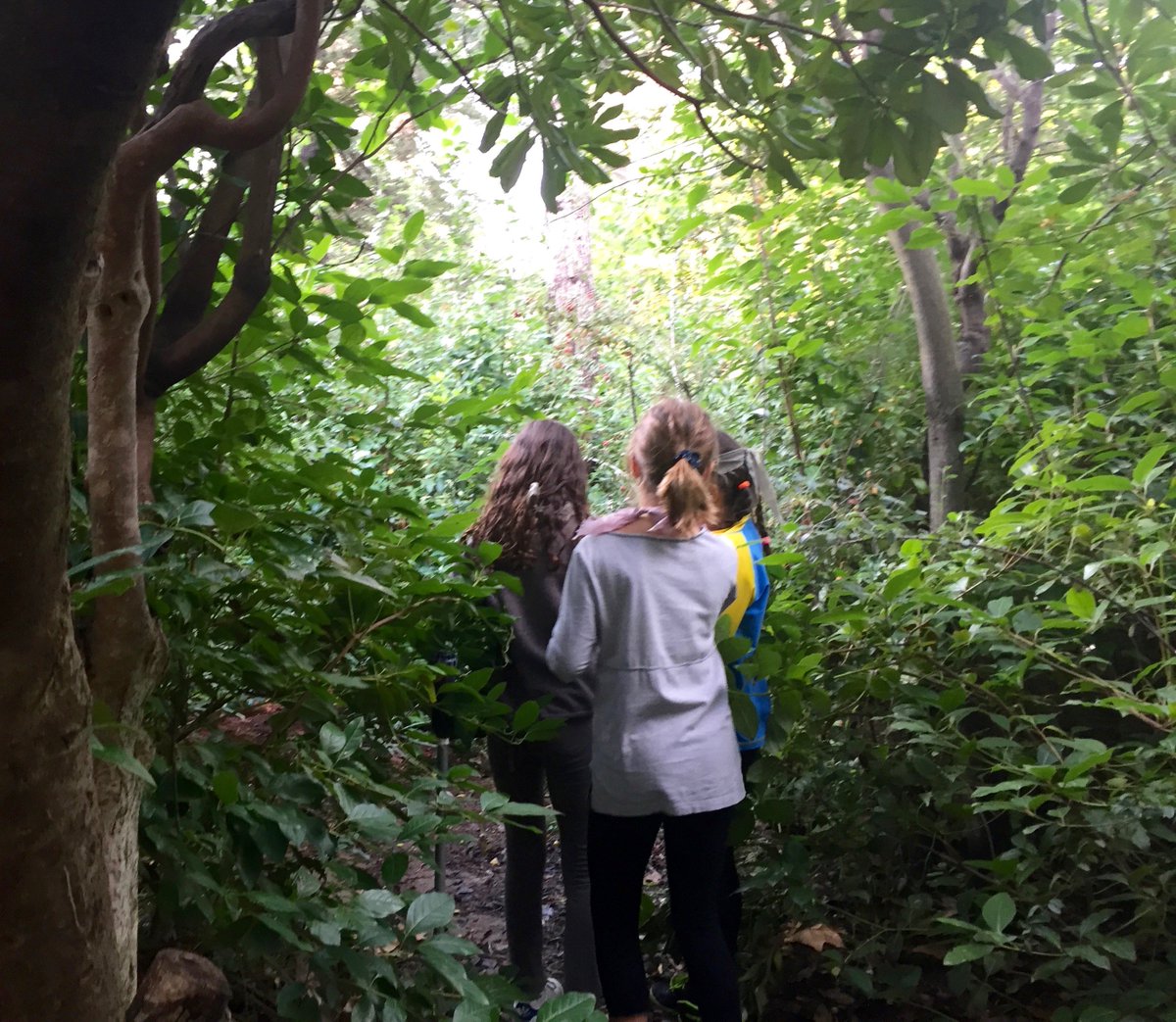 SomNatura's tweet photo. Comencem el #camíescolarverd! Ha estat un plaer submergir-nos amb els cinc sentits als jardins de #CanPonsic amb els nens i nenes de 4rt de l'#escolaOrlandai #caminsescolars #escolesostenibles #naturaurbana #verdubà #caminempelverd @AMPAOrlandai https://t.co/F1iTXAIced