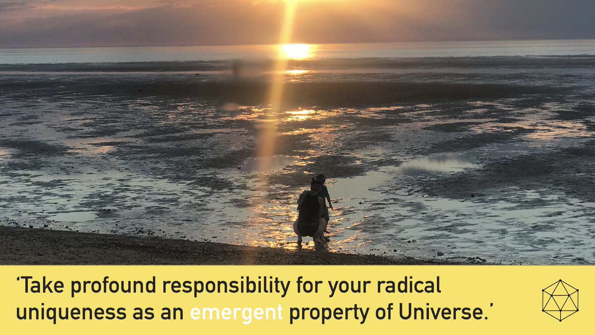 Cambridge Leadership College tweet media