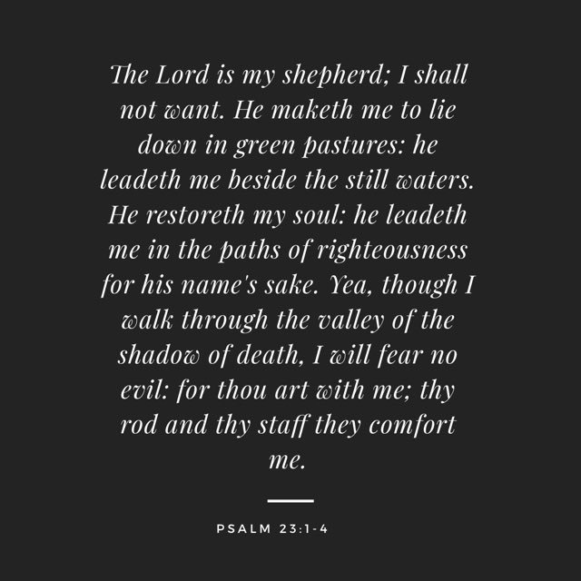 ConniesRoom's tweet photo. When the LORD is your Shepherd, you shall not be in want. #StrongProvider https://t.co/R0of4t8kNI