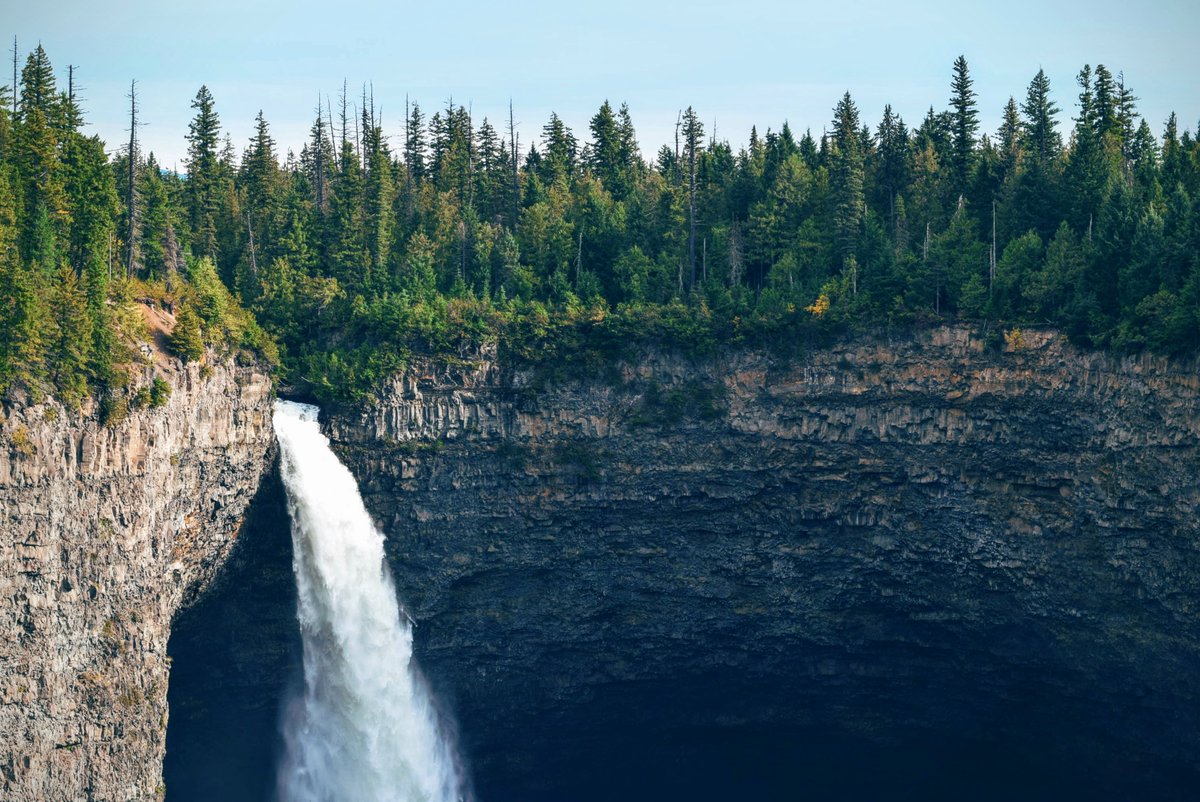 brackenmagazine's tweet photo. Plumas National Forest is located in the Sierra Nevada of CA and contains part of the internationally renowned Pacific Crest Trail, which stretches from Mexico to Canada. It also boasts of the beautiful Feather Falls, which stands at a height of 410 ft. #ForestFriday #CAForests https://t.co/Y2kno8rIlx