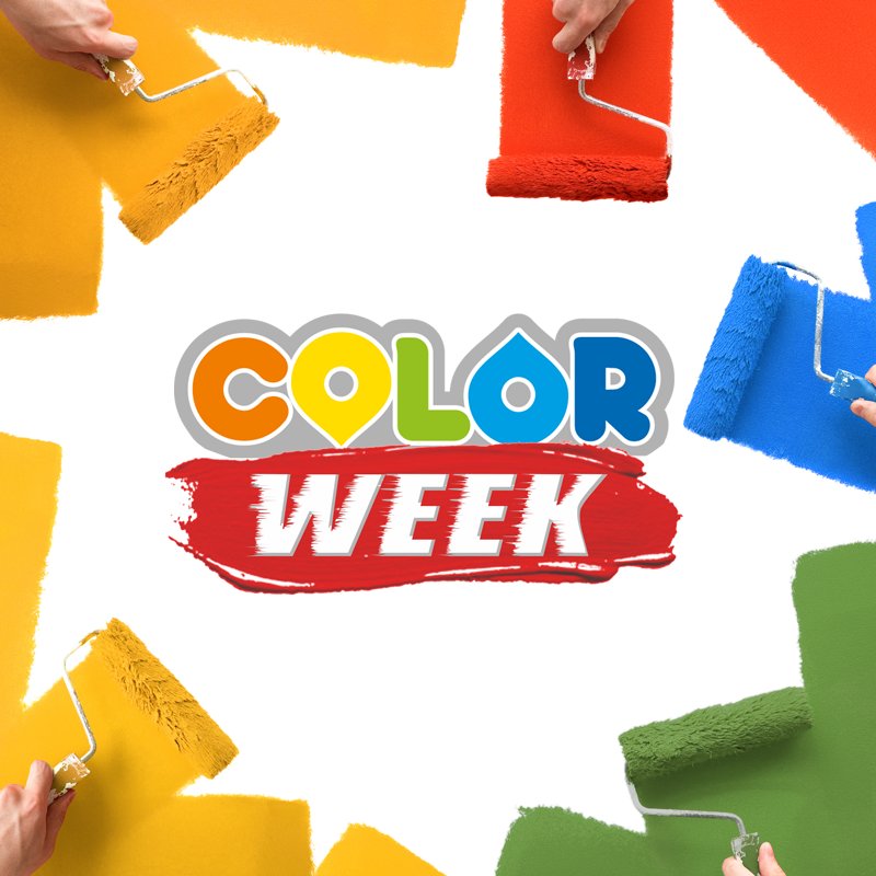 ColorMarketBo's tweet image. Perché aspettare il #BlackFriday delle GDO quando hai un’intera settimana di offerte pazzesche dal tuo rivenditore di fiducia? 
Ogni giorno, dal 19 al 24 novembre 2018, una selezione delle migliori vernici e prodotti per la casa, l'auto e il fai da te al 30%! #staytuned #Bologna