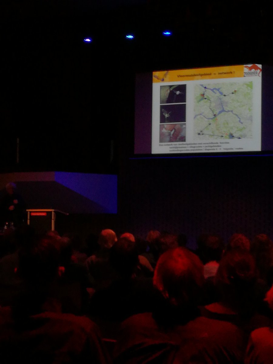 Zoogdierverenig's tweet photo. #biobra2018 vleermuizen en hun leefgebied, de lichten gaan uit. Herman Limpens aan het woord https://t.co/PUKUNfHSla