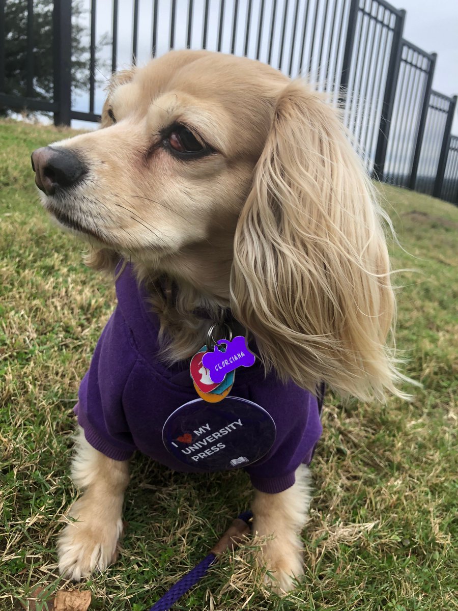 TCUPress's tweet photo. Why do the pups of TCU Press love their UP? ❤️📚 https://t.co/mzGngek2Vs