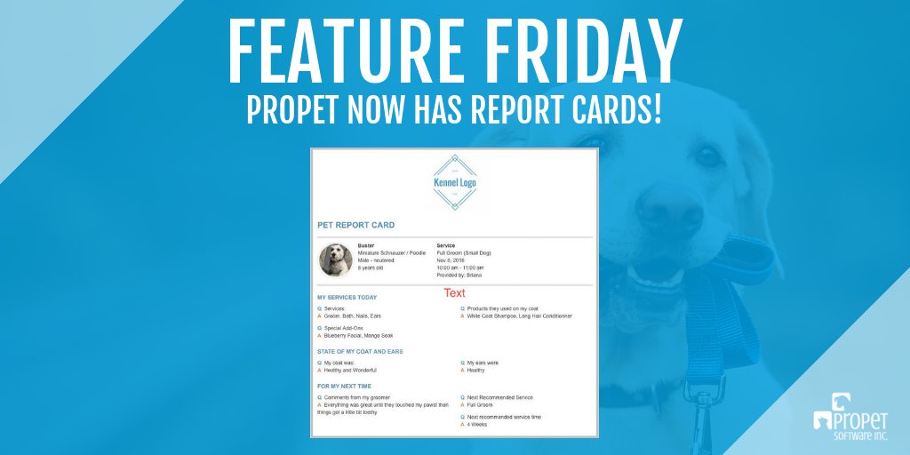 ProPetware's tweet image. We now have report cards ✅ Check out our latest blog to learn more about this amazing feature:

blog.propetware.com/blogarticles/f…