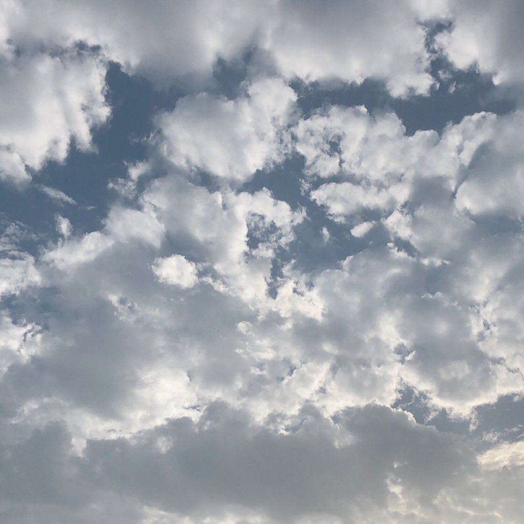 WalahSalem's tweet photo. ١٦ نوفمبر..
قلبي على حُب الموج والغيم ميّال☁️🍃. https://t.co/ZVVFg34BcP