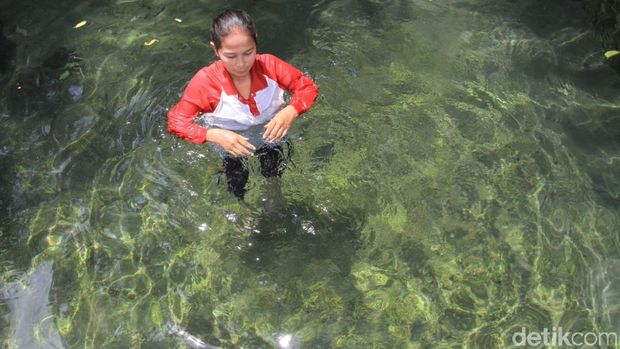 hendhihendhi's tweet photo. [A THREAD]

MATA AIR INDAH UNTUK BERENANG DI KABUPATEN BANDUNG

Foto : @detikcom / Wisma Putra

Mata Air Campaka https://t.co/SWCaneosDH
