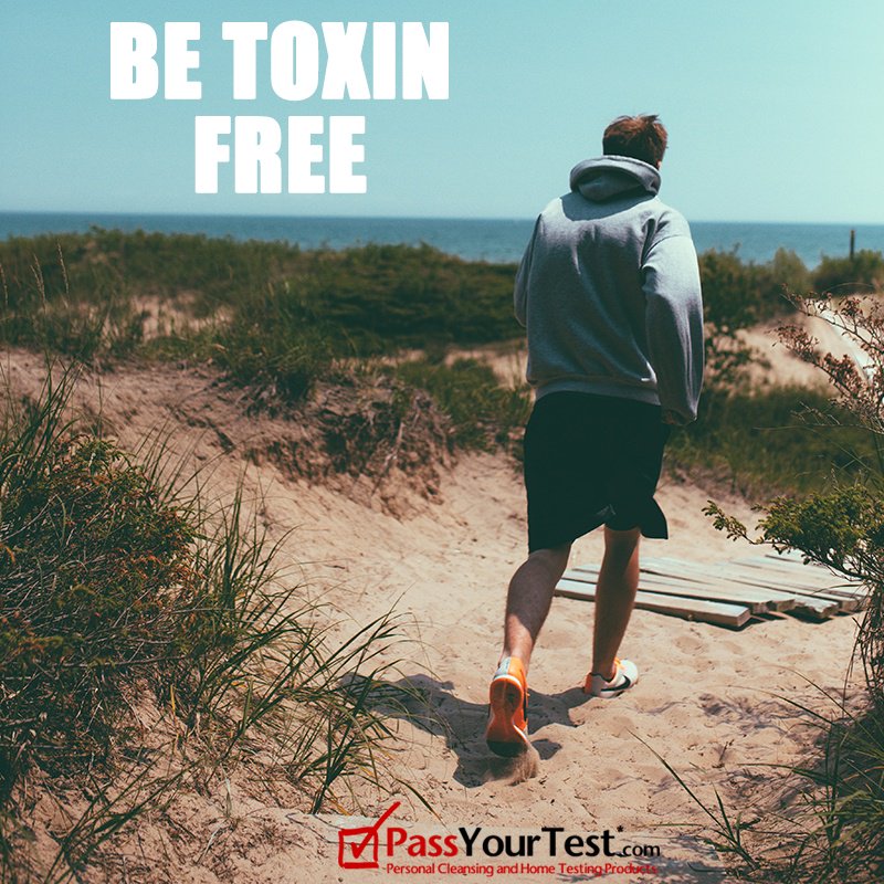 Pass_YourTest's tweet photo. Feel like you again when you let our detox programs get you back to toxin free! 
••••••••••••••••••••••
Follow Pass Your Test for more 📲
https://t.co/Thj2bOp0c0
••••••••••••••••••••••
#PassYourTest #Unwind #DailyLife https://t.co/RmkKCHE3Yi