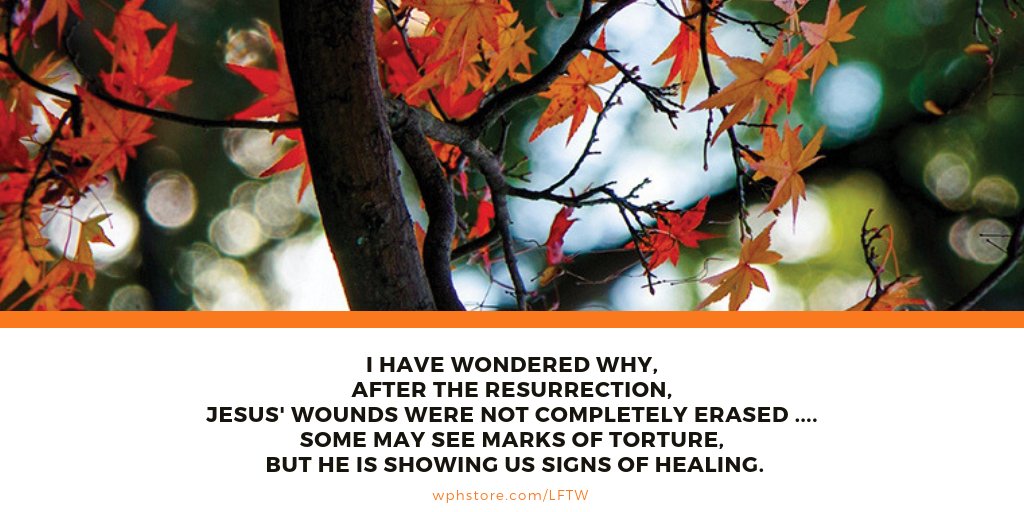 WPHBooks's tweet photo. Pray that you may see things through Jesus' eyes. Written by Luigi Penaranda, a professor at @WesleySeminary. Click here (https://t.co/NTjAzMd93e) to purchase Light From The Word to read the rest of the story. #LightFromTheWord #DailyDevotional #wphStore https://t.co/zoj4GV5eZJ
