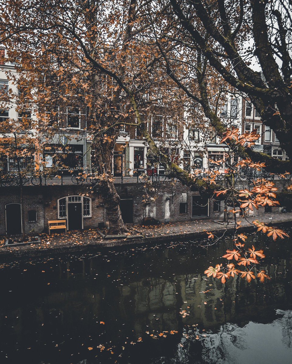 Nog één keertje genieten van de herfst in Utrecht.