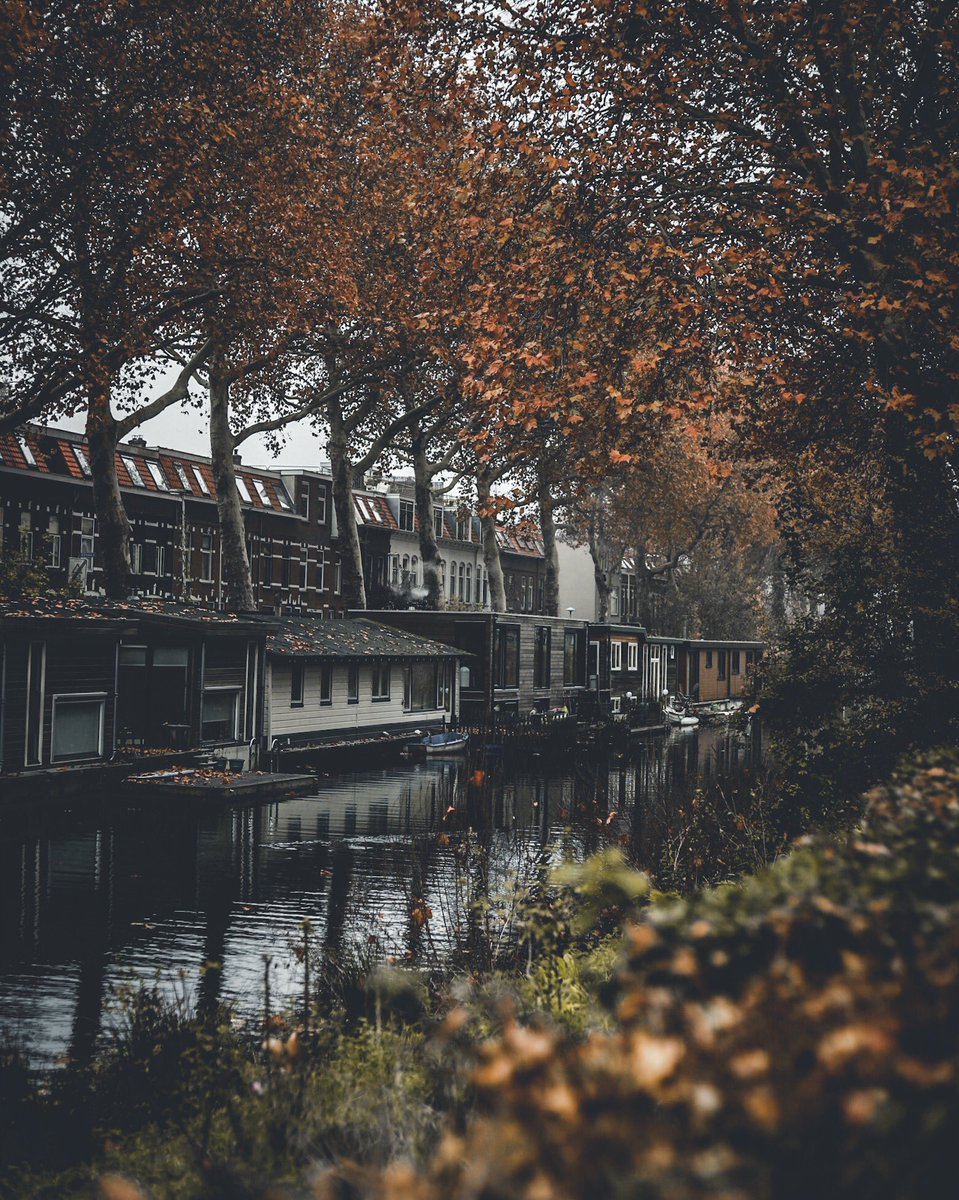 mylenecybele's tweet image. Nog één keertje genieten van de herfst in Utrecht.
