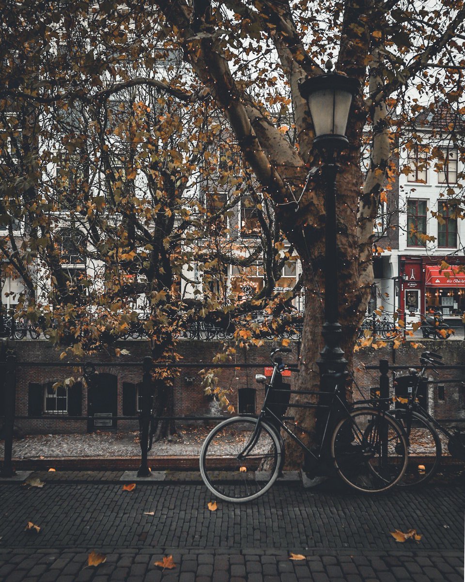 mylenecybele's tweet image. Nog één keertje genieten van de herfst in Utrecht.