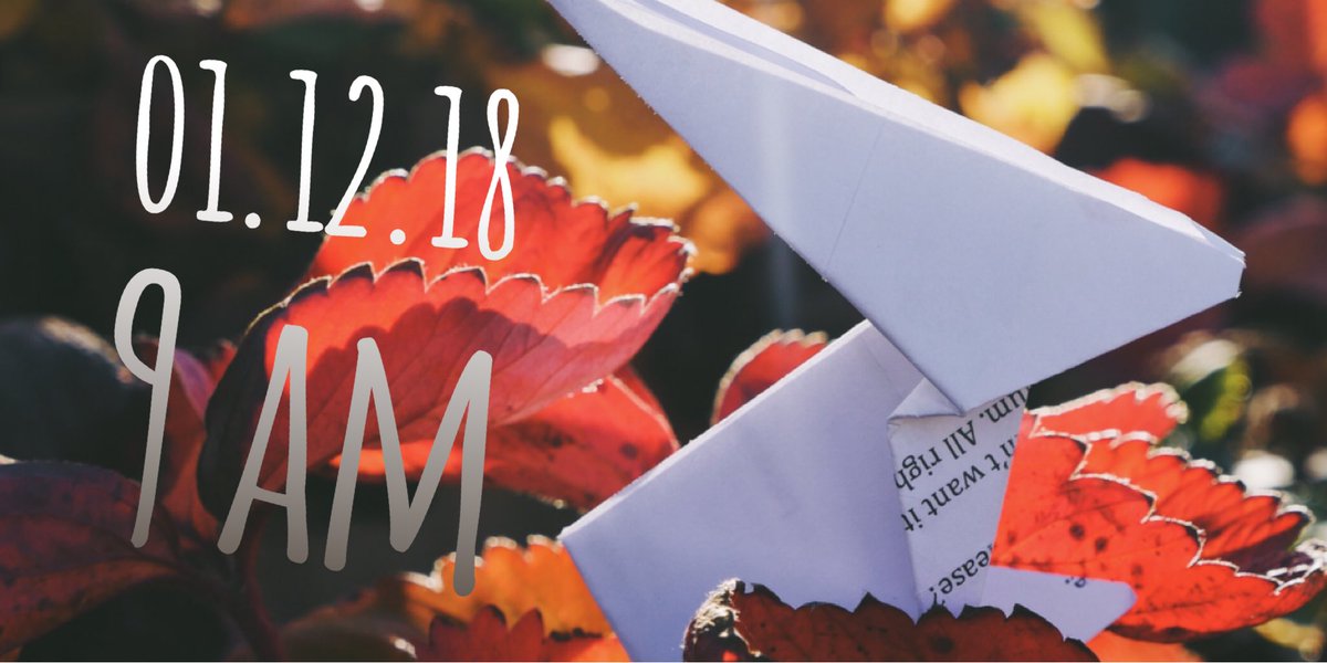 The Curious Parcel tweet media