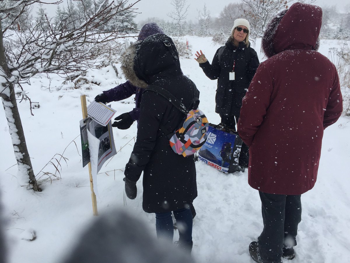 YRDSB's tweet photo. On a story walk with the  #YRDSBQuest ‘over the hill and through the fields’ workshop @NLPSIceCats https://t.co/8FMuxkGH6W