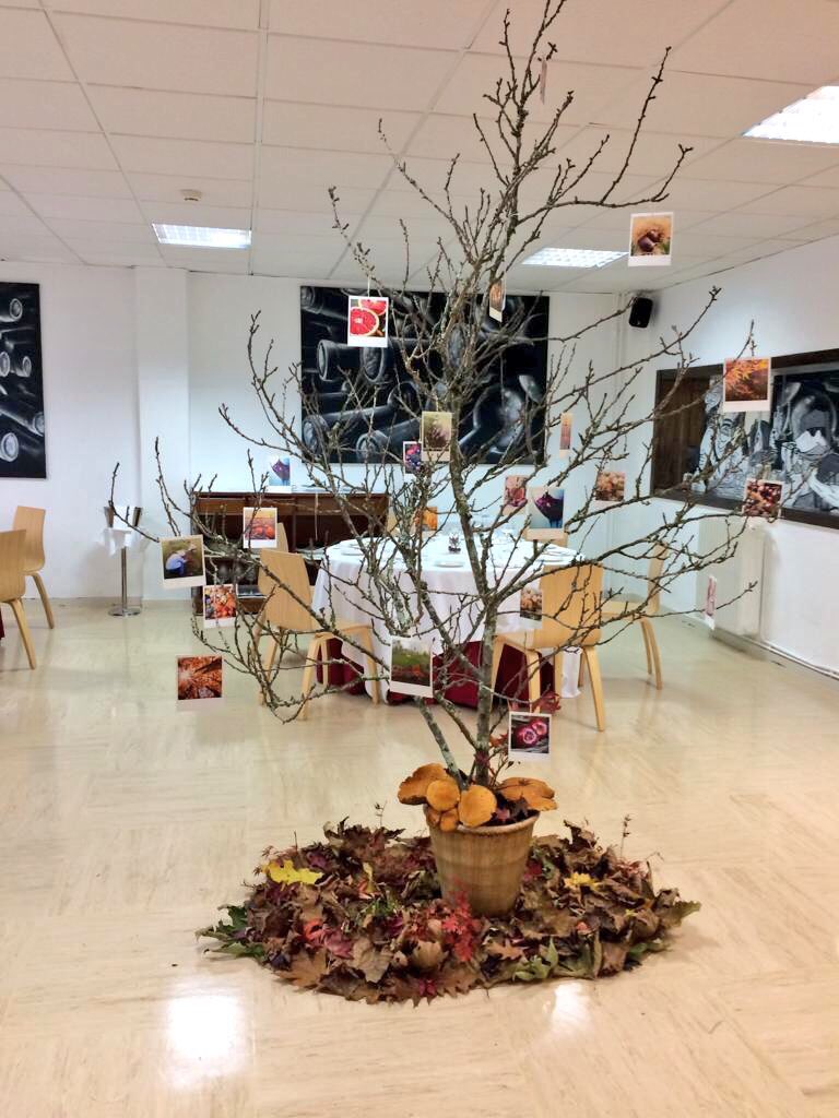 CarlosOrozaCIFP's tweet photo. Menú de outono no @CarlosOrozaCIFP co alumnado de 2º #CSDIRSERV que decoraron o taller Álvaro Cunqueiro para a ocasión! E ese cóctel especial agardando ao comensal...espectacular.
Parabens!!
#aprenderfacendo https://t.co/9mgL1YuJcH