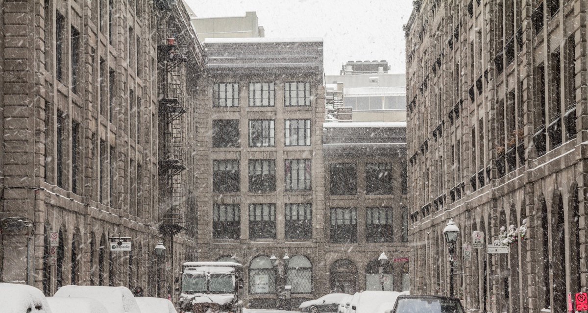 Renaissance Montréal tweet media