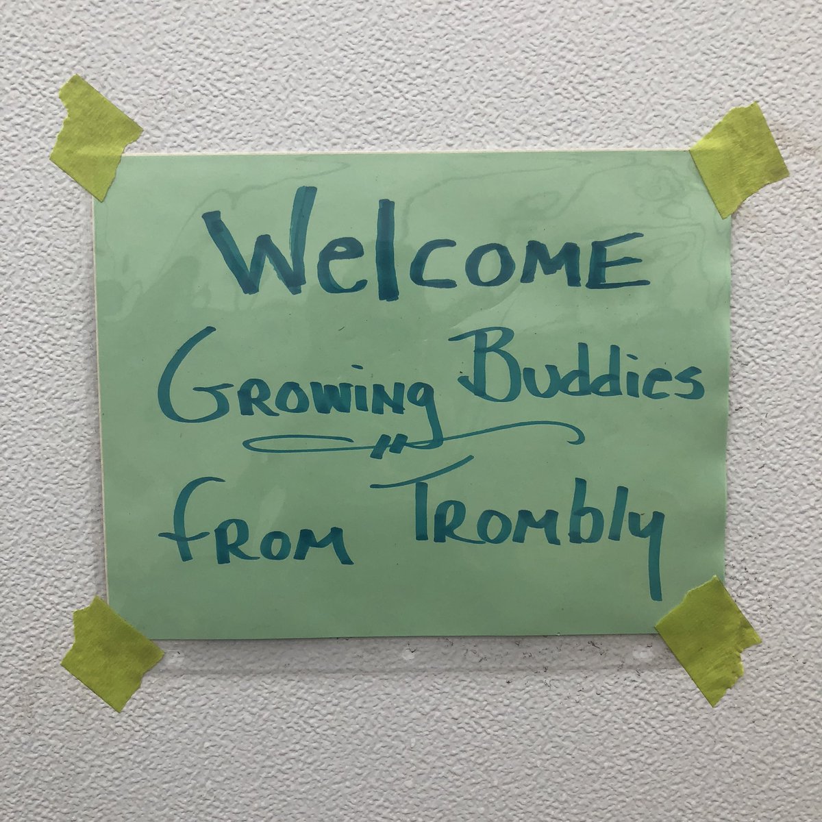 MomcatKelly's tweet photo. The beginning of a beautiful partnership 🌸 Thank you #DetroitAbloom for giving our #GrowingBuddies a tour of your Flower Farm and Sanctuary Garden today. @OMearaMultiage @RWScholars @GPTrombly @GPSchools https://t.co/HZo3KkPi3x