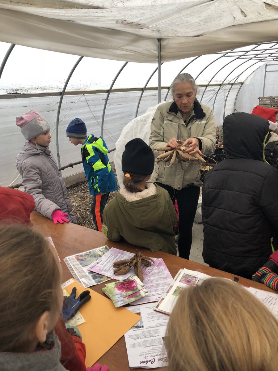 MomcatKelly's tweet photo. The beginning of a beautiful partnership 🌸 Thank you #DetroitAbloom for giving our #GrowingBuddies a tour of your Flower Farm and Sanctuary Garden today. @OMearaMultiage @RWScholars @GPTrombly @GPSchools https://t.co/HZo3KkPi3x